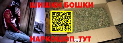 apvp Камень-на-Оби