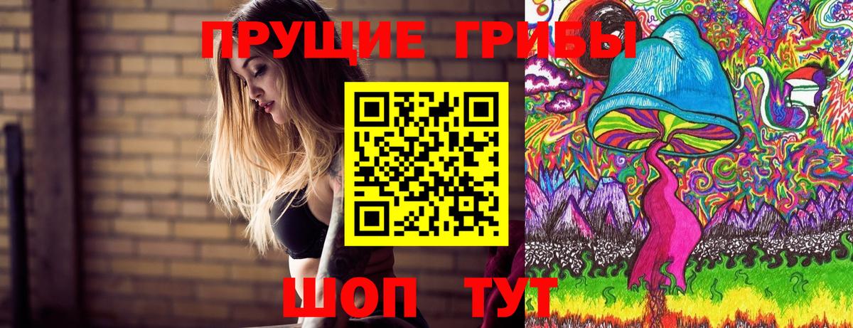Алушта  Псилоцибиновые грибы MAGIC MUSHROOMS  Вход с VPN 